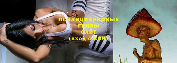 винт Покачи